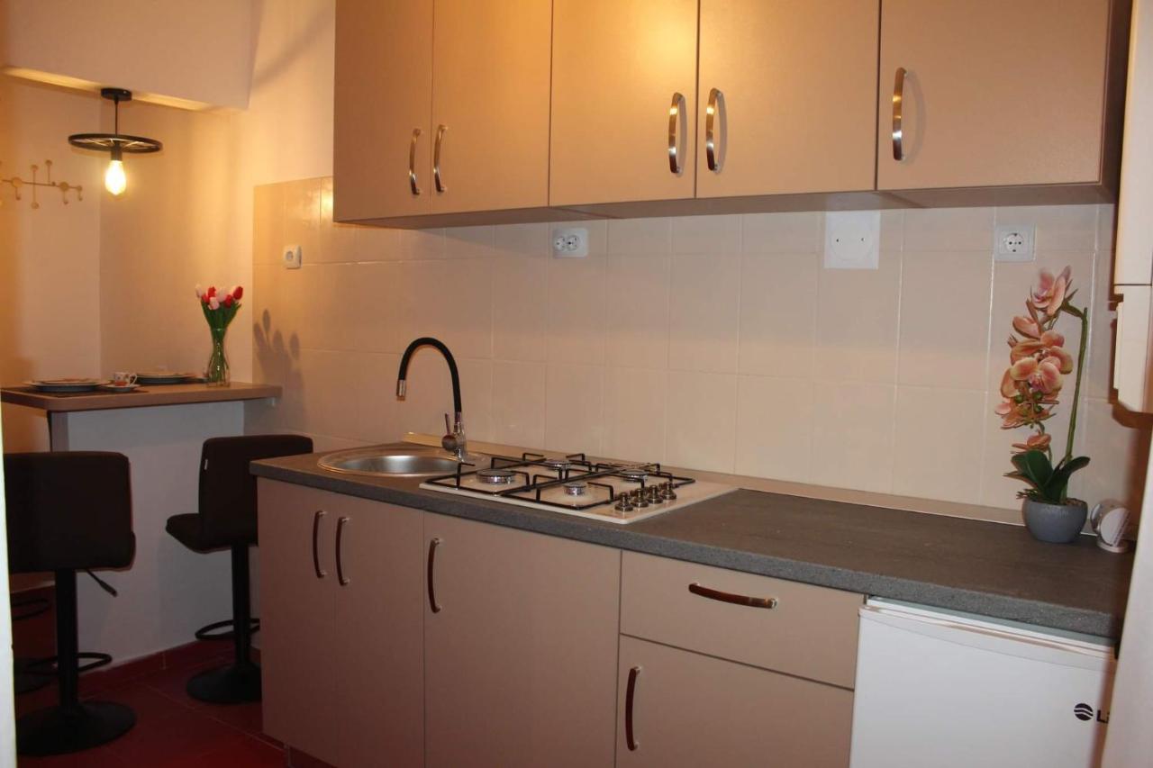 Apartmán Apartament Dania & Petru Tîrgu Ocna Exteriér fotografie