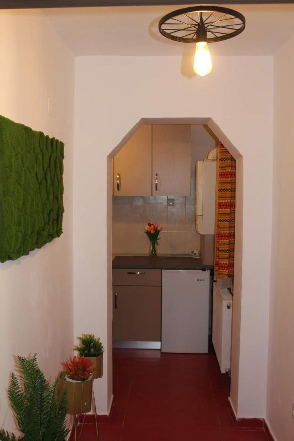 Apartmán Apartament Dania & Petru Tîrgu Ocna Exteriér fotografie