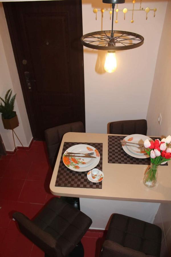 Apartmán Apartament Dania & Petru Tîrgu Ocna Exteriér fotografie