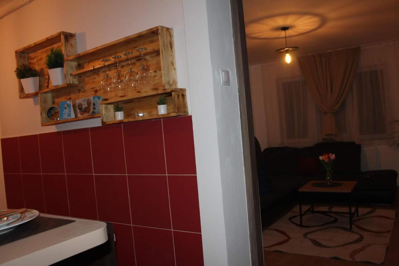 Apartmán Apartament Dania & Petru Tîrgu Ocna Exteriér fotografie