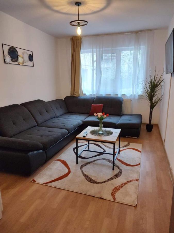 Apartmán Apartament Dania & Petru Tîrgu Ocna Exteriér fotografie